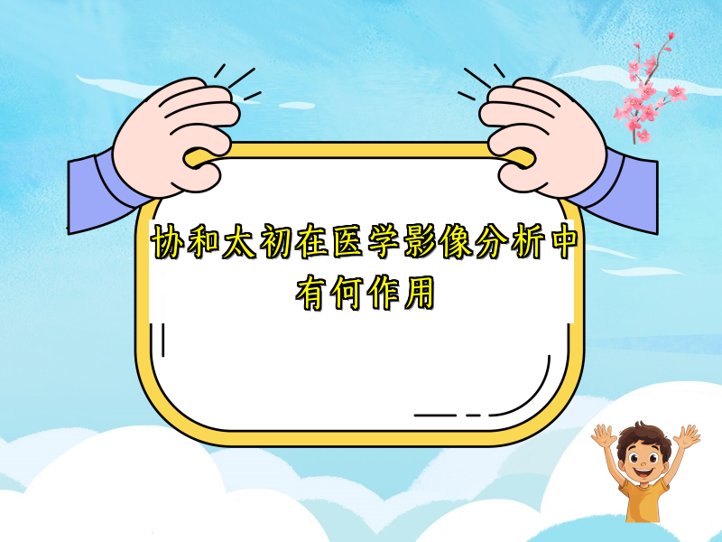 协和太初在医学影像分析中有何作用
