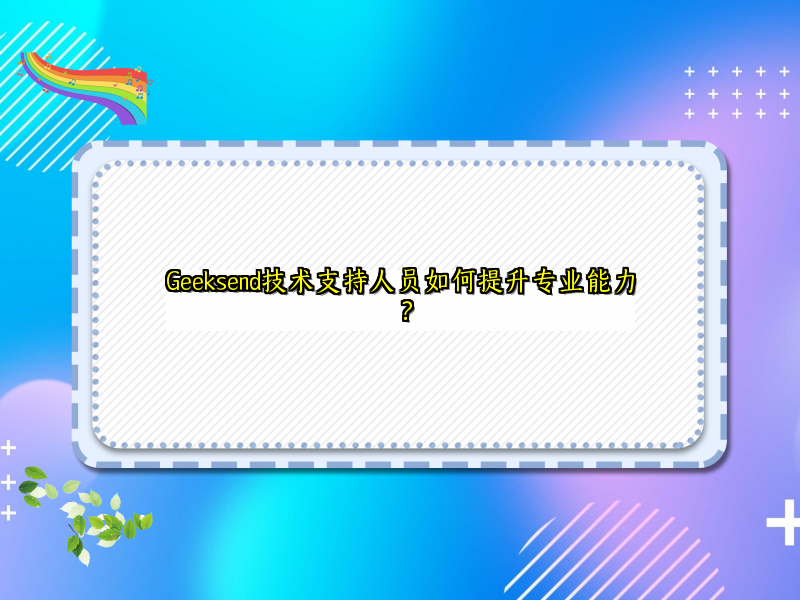 Geeksend技术支持人员如何提升专业能力？